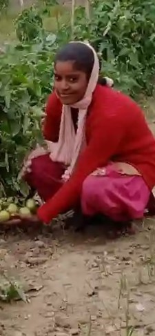 Rani is being started vegetable farming in modern way